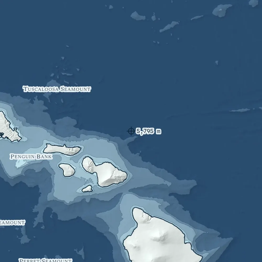 Hawaiʻi in Bathymetric at the print's own pixels, around the deepest point in the drawing, 5,795 m.