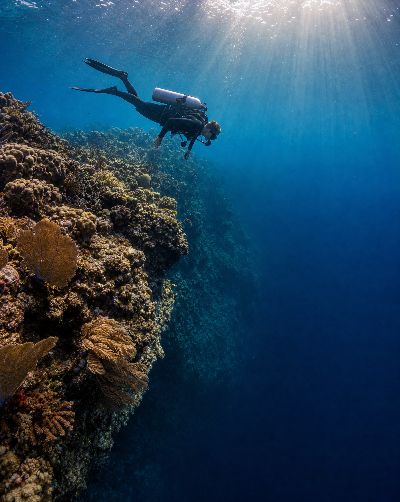 Generated scene: a diver hovering at the lip of a reef wall above deep blue water.