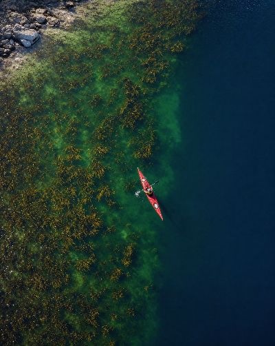 Generated scene: a red kayak from above, crossing the edge of a kelp bed into deep blue water.